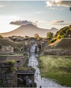 Природа в окрестностях отеля типа «постель и завтрак»