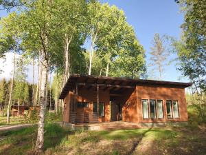 una cabaña de madera en el bosque con árboles en WOODDREAM, en Taipalsaari