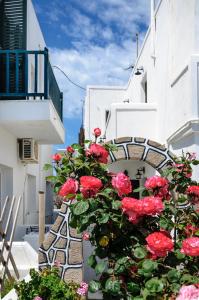 un montón de rosas rojas creciendo en un edificio en Christina Rooms en Adamas