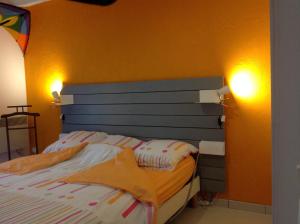 Sainte-Anne-sur-Vilaine的住宿－LES ROCHES DE COIGNE，卧室配有一张床,墙上有两盏灯