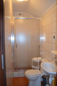 a bathroom with a shower and a toilet and a sink at Domki Sara in Władysławowo