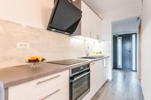 Kuchyň nebo kuchyňský kout v ubytování Apartments Vila DK