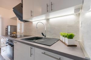Kuchyň nebo kuchyňský kout v ubytování Apartments Vila DK