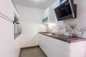 Kuchyň nebo kuchyňský kout v ubytování Apartments Vila DK