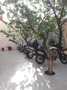 Gallery image of Hostel Bojo in Mostar