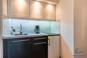 Kuchyň nebo kuchyňský kout v ubytování Apartments Vila DK