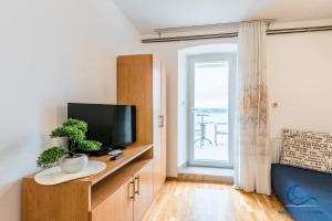 TV a/nebo společenská místnost v ubytování Apartments Vila DK