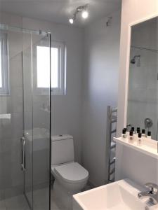 a bathroom with a toilet and a shower and a sink at The Studio Akaroa in Akaroa