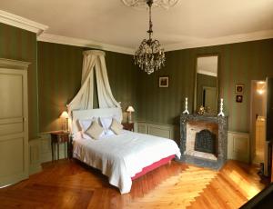 a bedroom with a bed and a fireplace and a chandelier at Château des Feugerets in Bellême