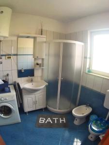 W łazience znajduje się prysznic, umywalka i toaleta. w obiekcie Apartment Matika, terrace apartment 10 minutes walk from center w Rovinj
