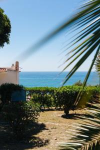 a view of the ocean from a palm tree at Great view to sea, villa with pool in Salema +56 photos