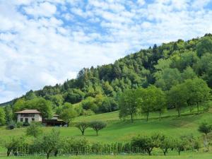 ein Haus auf einem Hügel auf einem Feld mit Bäumen in der Unterkunft Nido di Rondine B&B in Comano Terme