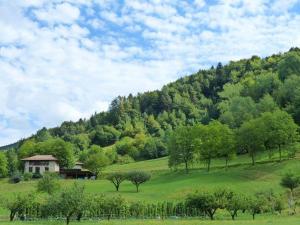 Příroda nedaleko bed and breakfast
