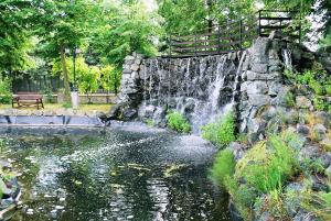 a waterfall in a pond with a bench in a park at Hotel Książę Poniatowski in Lesznowola