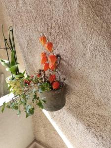 Fotografie z fotogalerie ubytování Nido di Rondine B&B v destinaci Comano Terme