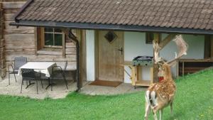 Fotografie z fotogalerie ubytování Bauernhaus & Appartement Goldschmied v destinaci Fügenberg