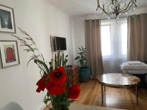 TV a/nebo společenská místnost v ubytování Ferienwohnung West