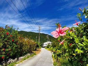 a road with pink flowers on the side of it at Kerama Terrace in Tokashiki