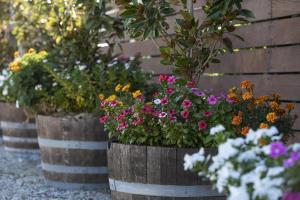 a group of barrels filled with different types of flowers at BIG4 Albury Tourist Park in Albury