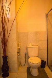 a bathroom with a toilet and a shower at Haus Berlin in Bentota