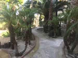 a path through a garden with palm trees at 777 Motor Inn in Huntington Beach