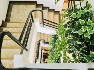 eine Treppe mit Stufen und Pflanzen darauf in der Unterkunft Jupiter Suites in Manila