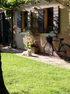 un chien couchant dans l'herbe à côté d'une maison dans l'établissement Haus heidi, à La Zecchina