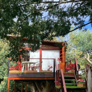 Zahrada ubytování Casa en el Árbol
