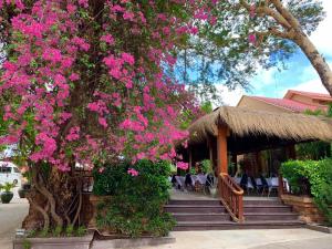 En hage utenfor The Hotel Umbra Bagan