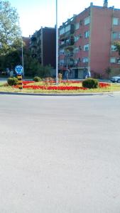 uma rua com flores ao lado de uma estrada em Apartmani Spasic em Leskovac
