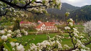 una casa en un campo con flores blancas en Sadyba Vyshenka, en Tatariv