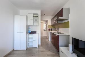 Kuchyň nebo kuchyňský kout v ubytování Apartament SYNERGIA