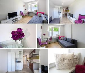 Kuchyň nebo kuchyňský kout v ubytování Apartament SYNERGIA