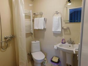 a small bathroom with a toilet and a sink at Akaki's Guesthouse in Borjomi