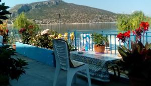 Naturlandskabet i nærheden af lejligheden