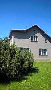une maison avec deux fenêtres et un bush devant elle dans l'établissement Ohrazenice 103, à Turnov