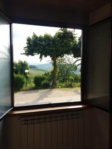 a window in a room with a view of a tree at CAMPO BASE B&B in SantʼAngelo in Pontano