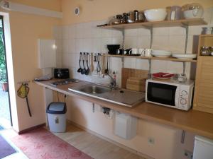 eine Küche mit einer Spüle und einer Mikrowelle in der Unterkunft Apartments Schramm in Eisenach
