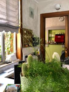 Habitación con mesa con plantas y espejo. en Castelfranco Hotel, en Castelfranco Emilia