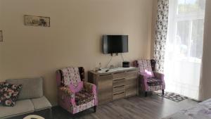 Televízia a/alebo spoločenská miestnosť v ubytovaní Apartment Marienbad Hlavni 131/50