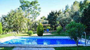 בריכת השחייה שנמצאת ב-Casas Rurales Los Algarrobales או באזור