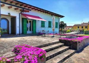 A garden outside Exclusive Villa