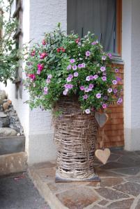 Giardino di Haus Schneider