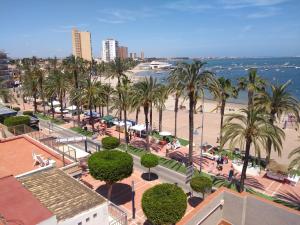 uma vista para uma praia com palmeiras e para o oceano em Hotel El Marino em Santiago de la Ribera