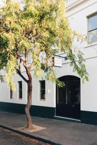 un albero di fronte a un edificio bianco di Naughtons Hotel a Melbourne