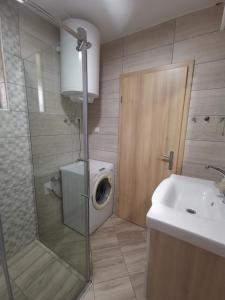 ein Badezimmer mit einer Waschmaschine und einem Waschbecken in der Unterkunft Apartma F&M in Bovec
