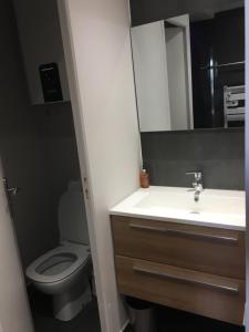 a bathroom with a toilet and a sink and a mirror at LE DONJON Villa BDSM Port Nature VILLAGE Cap d'Agde naturiste in Cap d'Agde