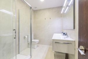 サン・セバスティアンにあるPuerto - Local Rentssのバスルーム(トイレ、洗面台、シャワー付)