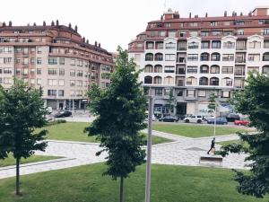 a tree in front of a large building at Muy luminoso en San Mamés in Bilbao