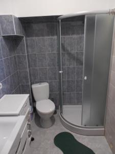 a small bathroom with a toilet and a shower at Apartment Orgelsaal in Chernivtsi
